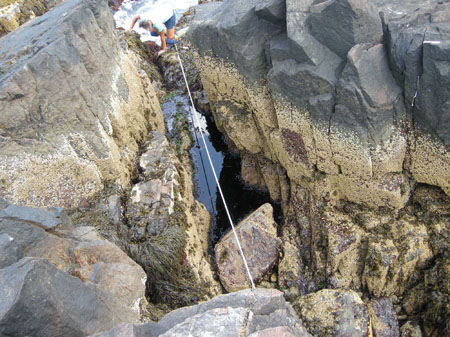 Outer Brewster tidepool transect