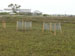 Herbivore exclosure experiment at Sweetwater