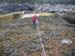 Schoodic Point point-intercept transects