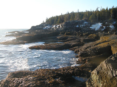 Early spring in Acadia