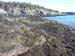 Acadia coastline