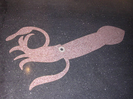Logan airport squid