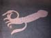 Logan airport squid