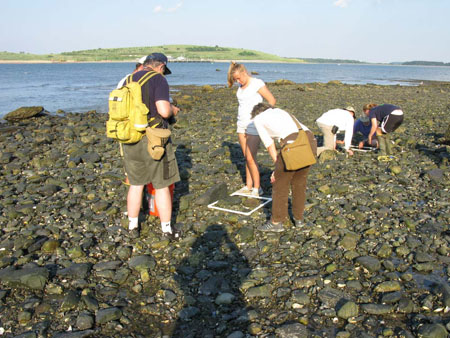Citizen scientists