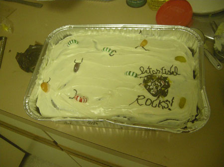 Impromptu intertidal rocks cake