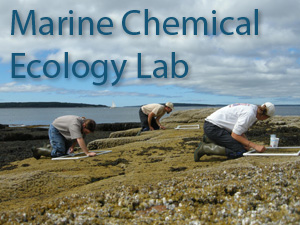 Long Lab