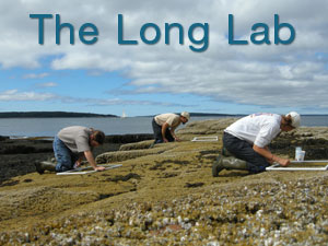 Long Lab