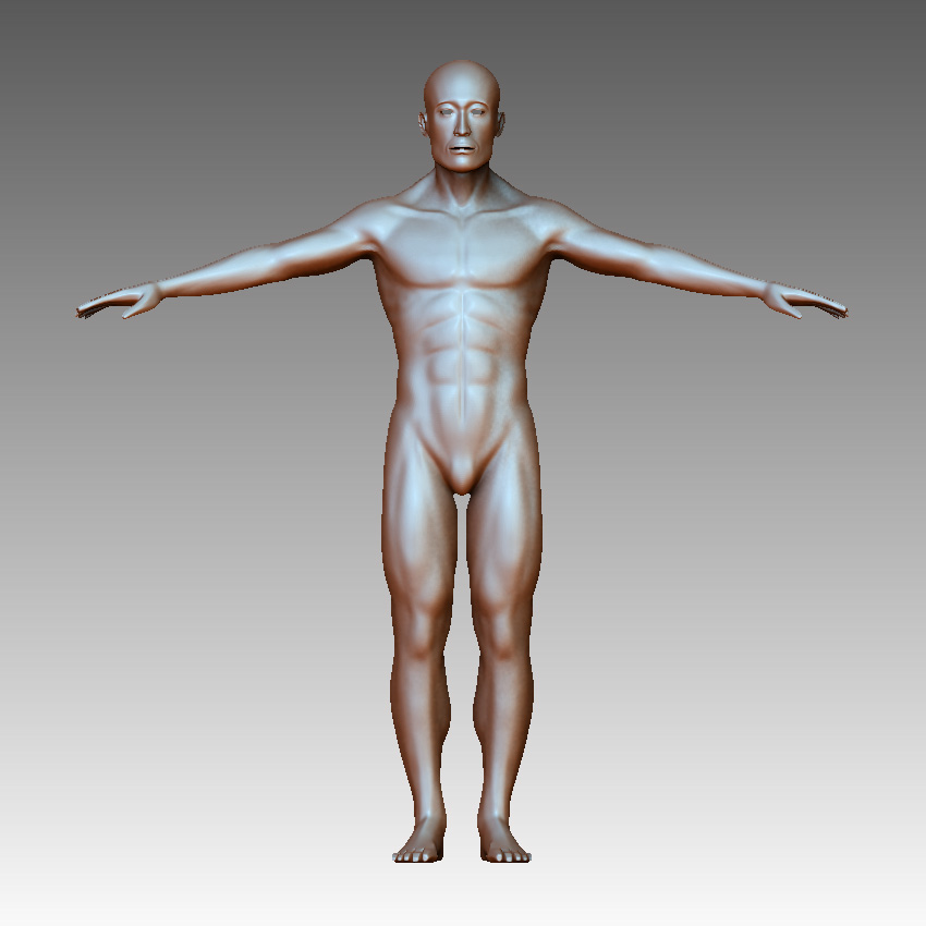 anatomy - front