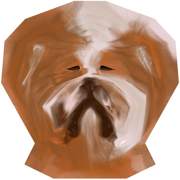 dog diffuse map