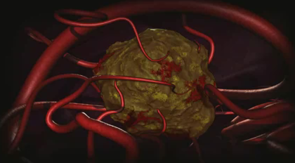 cell decay