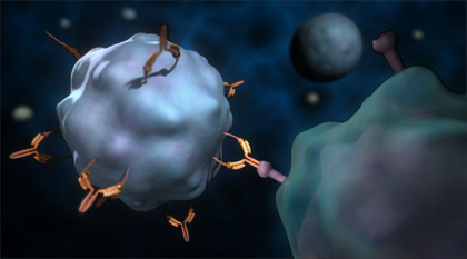 cell interaction