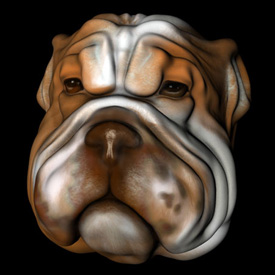 bulldog